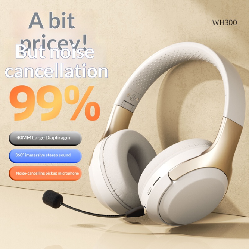 Over Ear Wireless Bluetooth He - Laptop Accessories Officeworks review and price